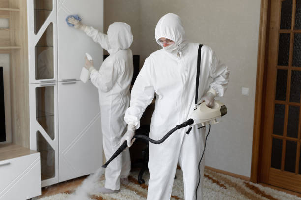 24/7 Emergency Trauma Scene Cleanup experts in Ashford, WA