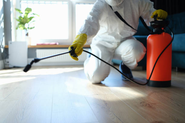 Reliable Trauma Scene Cleanup contractor in Ashford, WA by Trauma Clean Pros